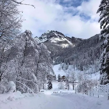 Charm Near Lift * Enkerbichl