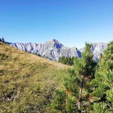 Charm Near Lift Enkerbichl