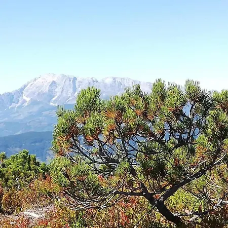 Charm Near Lift Enkerbichl