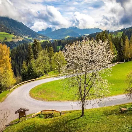 Charm Near Lift Enkerbichl